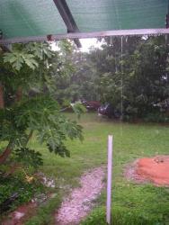 Bonne vieille pluie du Nord 019.jpg