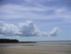 Les dangereuses côtes de Darwin (méduses) 023.jpg