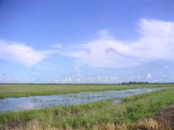 Plaines inondables 044.jpg